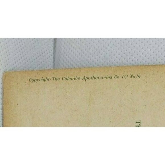 The Colombo Apothecaries Co LTD Street Scene Pettah Colombo #14 Post Card - Picture 7 of 9